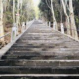 -窦圌山风景区