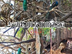 -长鹿旅游休博园