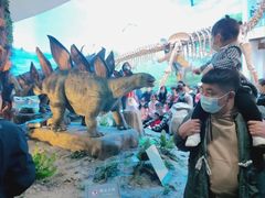 -辽宁古生物博物馆