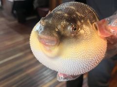 -永安鱼庄·镇江菜(丁卯店)