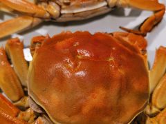 -老济南·地道济南菜(大明湖店)