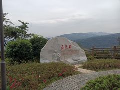 -铁山坪森林公园
