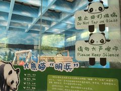-柳州市动物园