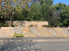 -上海滨江森林公园