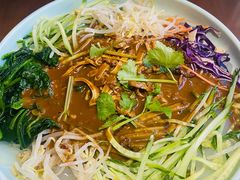 大拉皮-黑土印象菜馆(三元桥店)