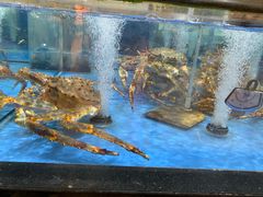 -七鲜超市(万向城店)