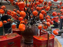 -泰山宝盛大酒店·八珍轩自助餐