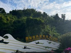 -西双版纳原始森林公园