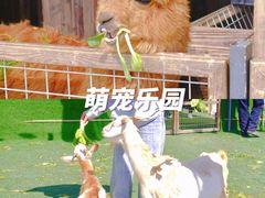 -栖露营camping·天幕烧烤·团建拓展·采摘营地