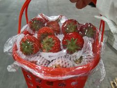 -双福水果批发市场