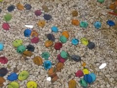 -雅逸居海鲜小厨