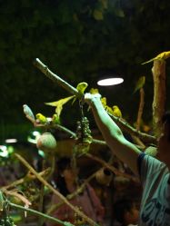 -酷嗒动物文化乐园(cutezoo西溪乐天城店)