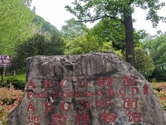 -金钉子远古世界景区