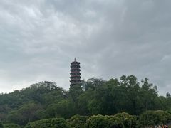-红花山公园