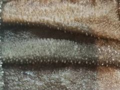 -大妙火锅·非物质文化遗产(东湖公园店)