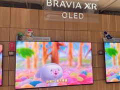 -Sony Store 索尼(上海淮海中路店)