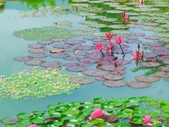 -国家植物园南园