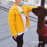 夏日带孩子和萌兽一起互动吧！