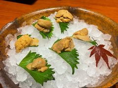 -月龍吟(朝龙汇店)