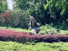 -重庆彩云湖湿地公园