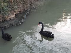 -宁波野生动物园