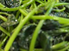 -老字号蛇口德记烧腊饭店·海鲜加工