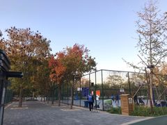 -回龙观体育文化公园