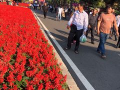 -东南花都花博园