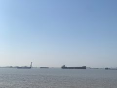 -上海滨江森林公园