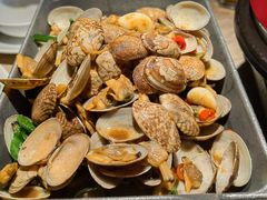 -佬肥猫(七宝宝龙店)