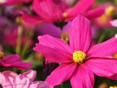 -海珠湖公园