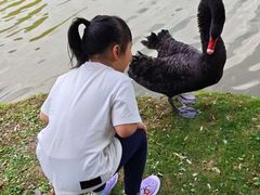 -森波拉奇妙世界