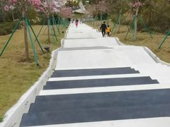 -盈香心动乐园
