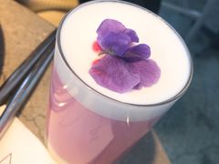 -Nectar One Cafe(勇烈路n1店)