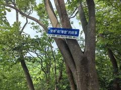 -紫金山山顶公园