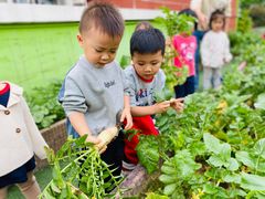 -江门市中天国际艺术幼儿园