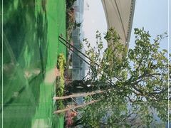 -港丽餐厅(高德置地店)