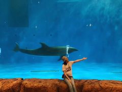 -华夏文旅海洋公园