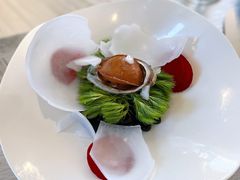 雾气腾腾冰展深海鲍鱼-青岛遇见米兰(八大关店)