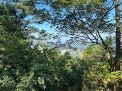 -白云山风景名胜区