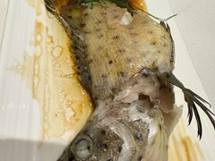 -东海海鲜酒家(中信广场店)