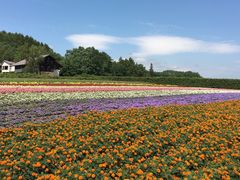 -富田农场