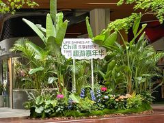 -瑞虹新天地月亮湾