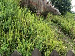 -自贡恐龙博物馆