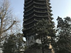 -蝎王府羊蝎子(西直门店)