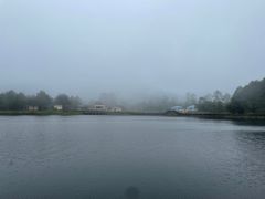 -海南热带雨林国家公园吊罗山景区
