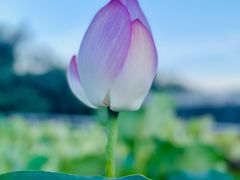 -厦门国家会计学院