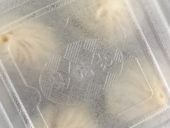 -锡笼记·无锡小笼(人民路店)