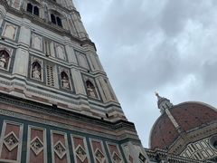 -圣母百花大教堂穹顶