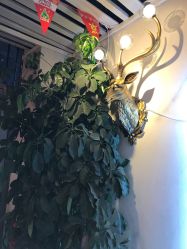 -东宫造型Eastern palace